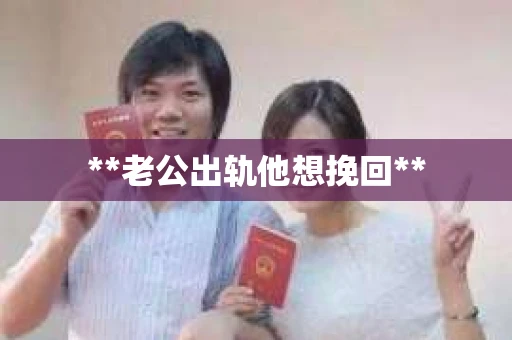 **老公出轨他想挽回**