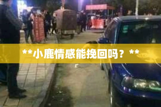 **小鹿情感能挽回吗？**