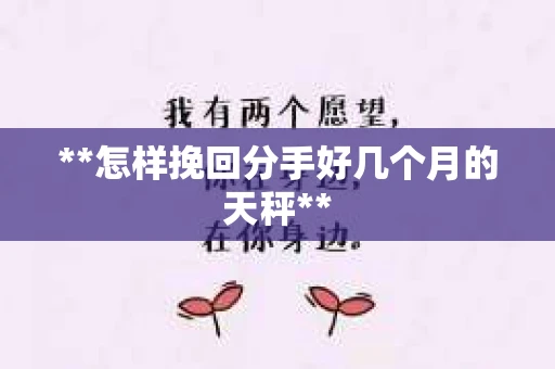 **怎样挽回分手好几个月的天秤**