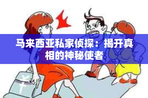 马来西亚私家侦探：揭开真相的神秘使者