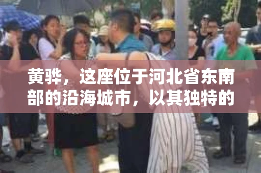 黄骅，这座位于河北省东南部的沿海城市，以其独特的地理位置和丰富的历史文化而闻名。然而，在这座城市中，还有一群人，他们以另一种方式默默守护着社会的公平与正义——私家侦探。今天，我们就来聊聊黄骅的私家侦探，看看他们是如何在这个城市中发挥作用的。