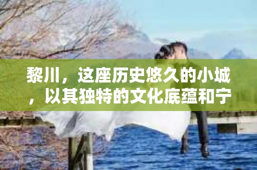 黎川，这座历史悠久的小城，以其独特的文化底蕴和宁静的生活节奏吸引着无数游客。然而，在这样一个看似平静的城市里，你是否会好奇，有没有私家侦探机构的存在呢？今天，就让我带你一探究竟。
