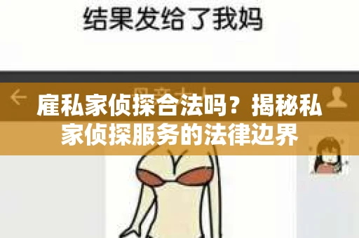 雇私家侦探合法吗？揭秘私家侦探服务的法律边界