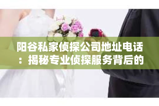 阳谷私家侦探公司地址电话：揭秘专业侦探服务背后的故事