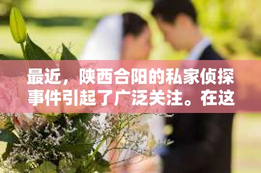 最近，陕西合阳的私家侦探事件引起了广泛关注。在这个信息爆炸的时代，隐私保护显得尤为重要。今天，我们就来聊聊这个事件，看看它背后的一些故事。