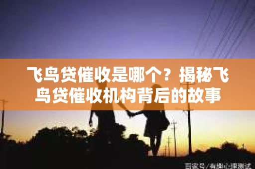 飞鸟贷催收是哪个？揭秘飞鸟贷催收机构背后的故事