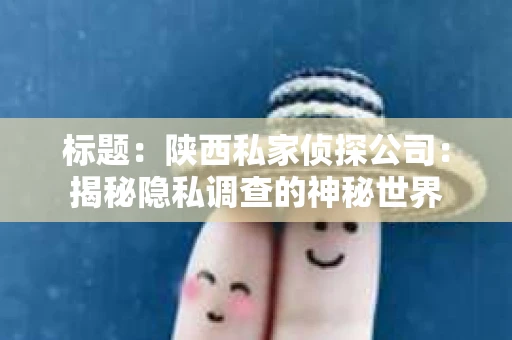 标题：陕西私家侦探公司：揭秘隐私调查的神秘世界