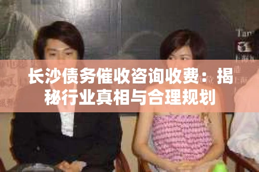 长沙债务催收咨询收费：揭秘行业真相与合理规划