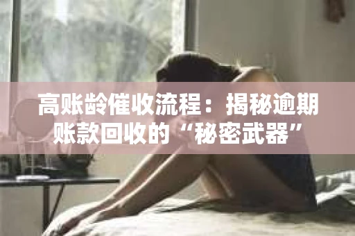 高账龄催收流程：揭秘逾期账款回收的“秘密武器”