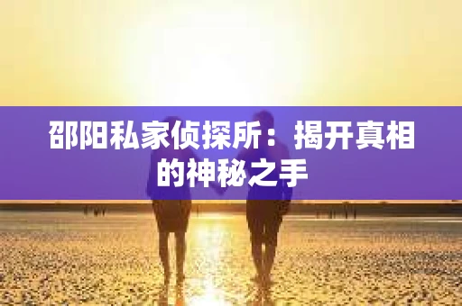 邵阳私家侦探所：揭开真相的神秘之手