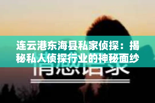 连云港东海县私家侦探：揭秘私人侦探行业的神秘面纱