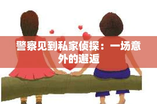 警察见到私家侦探：一场意外的邂逅