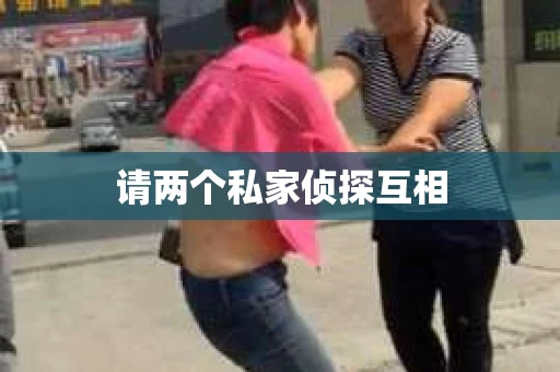 请两个私家侦探互相