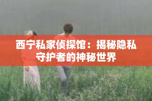 西宁私家侦探馆：揭秘隐私守护者的神秘世界