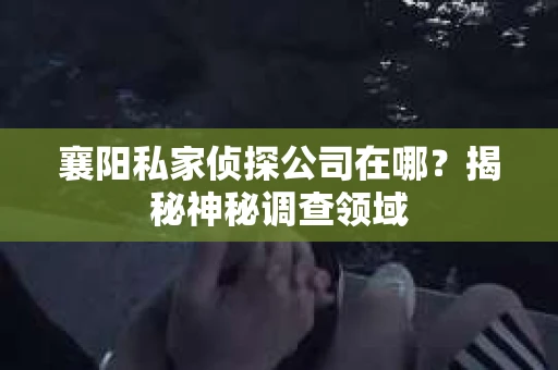 襄阳私家侦探公司在哪？揭秘神秘调查领域