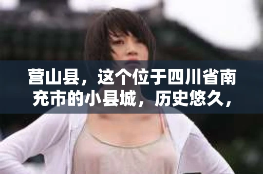 营山县，这个位于四川省南充市的小县城，历史悠久，风景秀丽。但在这个宁静的小县城里，你是否会好奇，有没有私家侦探的存在呢？今天，我就来和大家聊聊这个话题。
