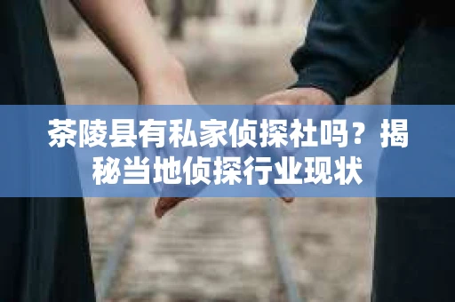 茶陵县有私家侦探社吗？揭秘当地侦探行业现状
