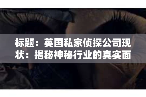标题：英国私家侦探公司现状：揭秘神秘行业的真实面貌