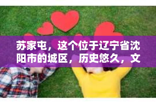苏家屯，这个位于辽宁省沈阳市的城区，历史悠久，文化底蕴深厚。近年来，随着社会的发展，人们对于私家侦探的需求也逐渐增加。那么，苏家屯有私家侦探吗？今天，我们就来聊聊这个话题。