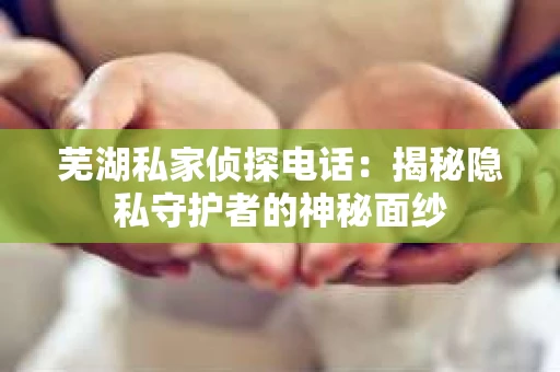 芜湖私家侦探电话：揭秘隐私守护者的神秘面纱