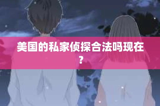美国的私家侦探合法吗现在？