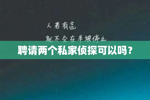 聘请两个私家侦探可以吗？