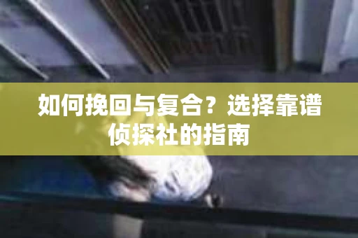 如何挽回与复合？选择靠谱侦探社的指南