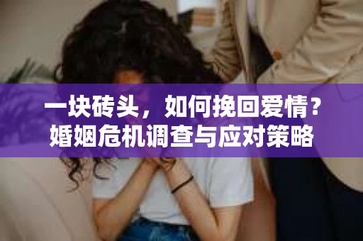 一块砖头，如何挽回爱情？婚姻危机调查与应对策略