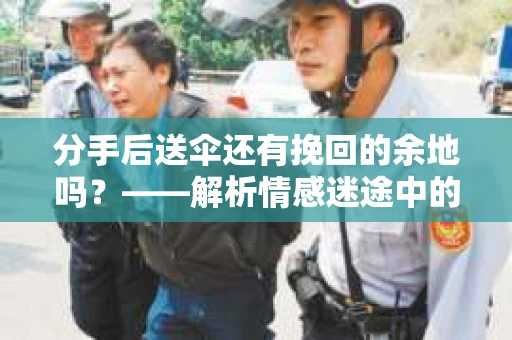 分手后送伞还有挽回的余地吗？——解析情感迷途中的决策